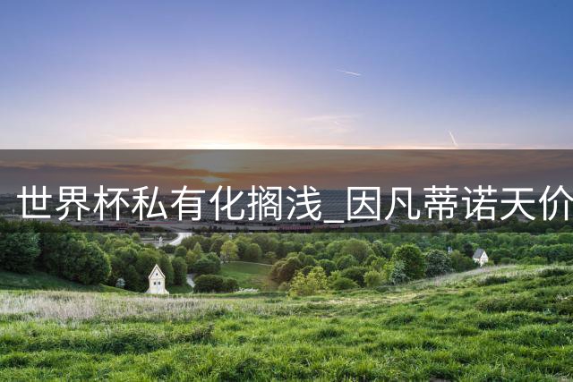 世界杯私有化搁浅 因凡蒂诺天价薪酬计划曝光震惊体坛