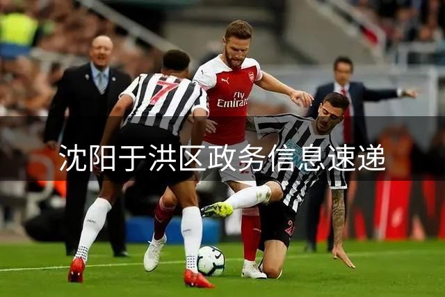 沈阳于洪区政务信息速递